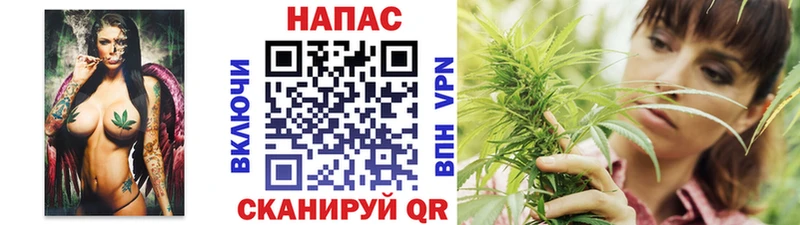 МЕФ Алексин