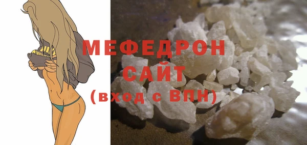 индика Вяземский