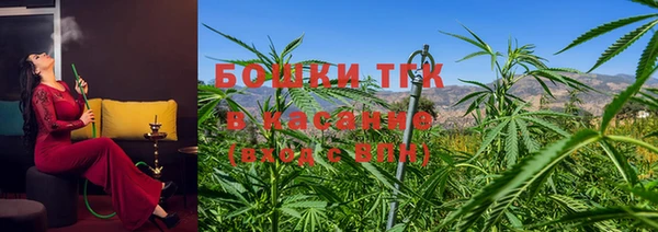 стафф Гвардейск