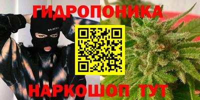 шишки Волжск