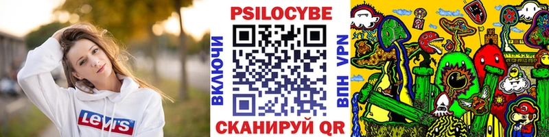 МЕГА ссылка  купить наркоту  Алексин  Галлюциногенные грибы Cubensis 