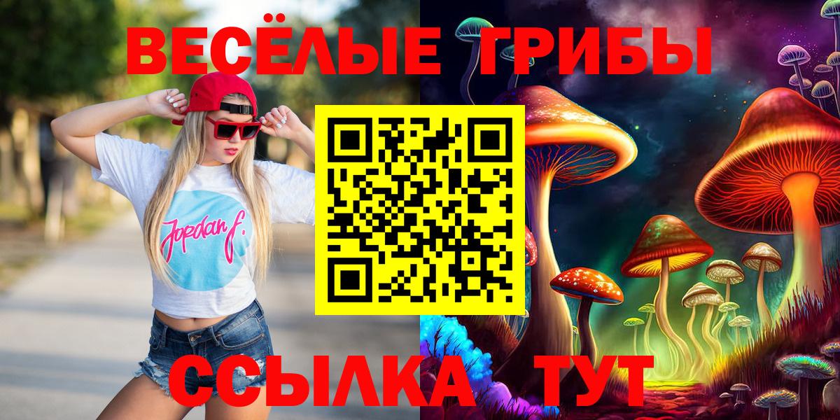 Псилоцибиновые грибы MAGIC MUSHROOMS Алексин