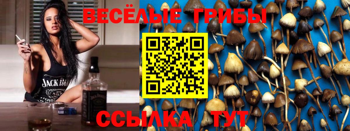 купить  сайты  Вход с VPN  Алексин  Псилоцибиновые грибы MAGIC MUSHROOMS 