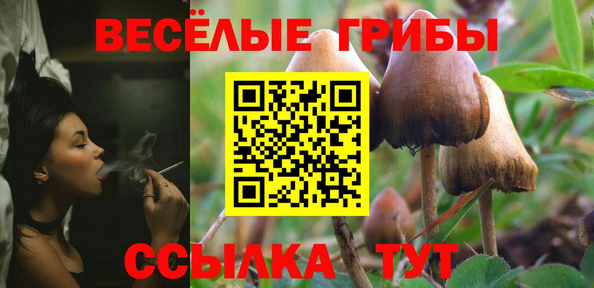 Псилоцибиновые грибы ЛСД Алексин