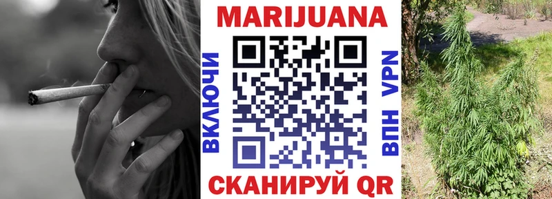 Бошки Шишки план  Алексин 