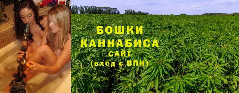 Каннабис White Widow  наркота  Алексин 